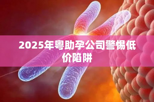 2025年粤助孕公司警惕低价陷阱