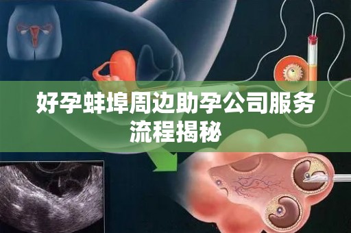 好孕蚌埠周边助孕公司服务流程揭秘