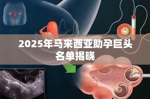 2025年马来西亚助孕巨头名单揭晓