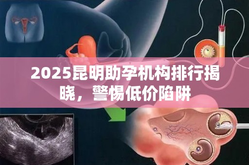 2025昆明助孕机构排行揭晓，警惕低价陷阱
