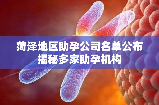 菏泽地区助孕公司名单公布揭秘多家助孕机构