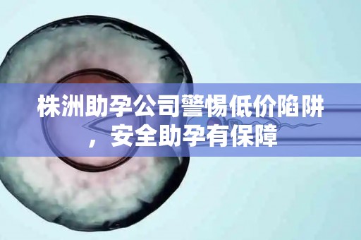 株洲助孕公司警惕低价陷阱，安全助孕有保障