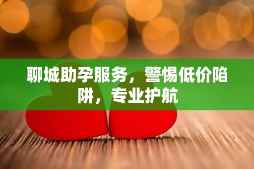聊城助孕服务，警惕低价陷阱，专业护航