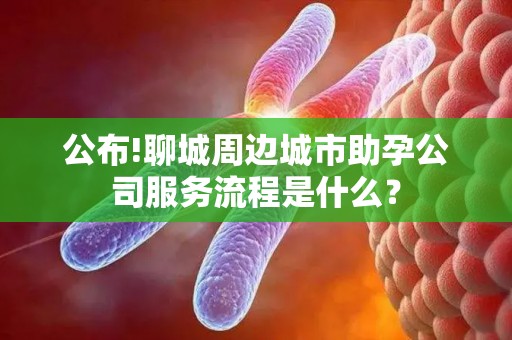 公布!聊城周边城市助孕公司服务流程是什么？