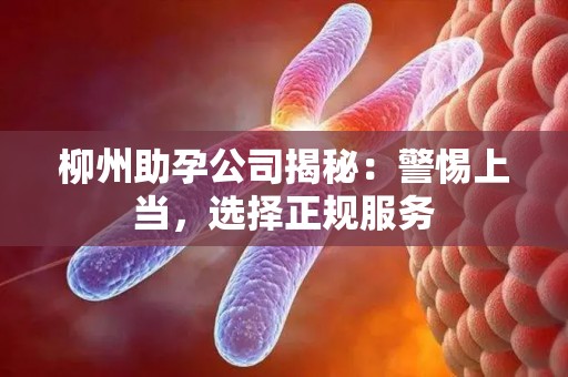 柳州助孕公司揭秘：警惕上当，选择正规服务