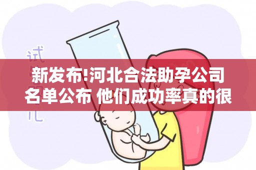 新发布!河北合法助孕公司名单公布 他们成功率真的很高吗？