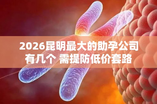2026昆明最大的助孕公司有几个 需提防低价套路
