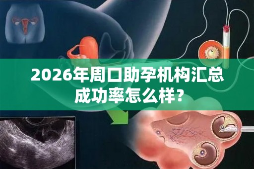 2026年周口助孕机构汇总 成功率怎么样？