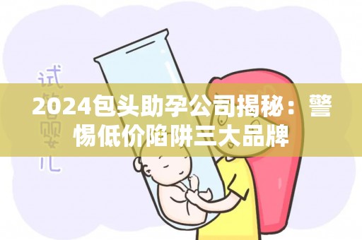2024包头助孕公司揭秘：警惕低价陷阱三大品牌