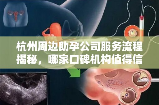 杭州周边助孕公司服务流程揭秘，哪家口碑机构值得信赖？