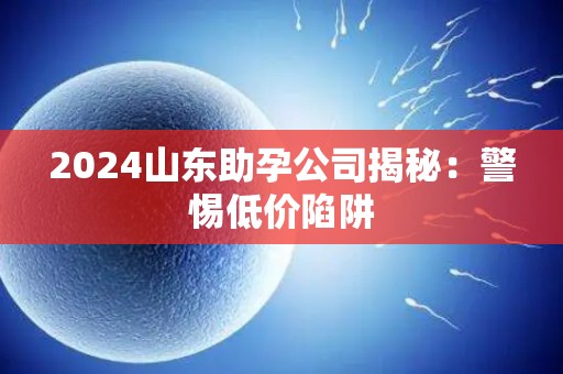 2024山东助孕公司揭秘：警惕低价陷阱