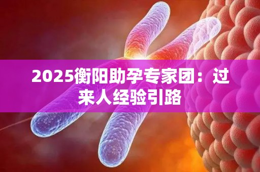 2025衡阳助孕专家团：过来人经验引路
