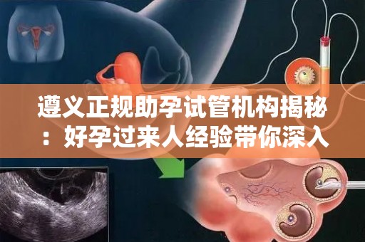 遵义正规助孕试管机构揭秘：好孕过来人经验带你深入了解