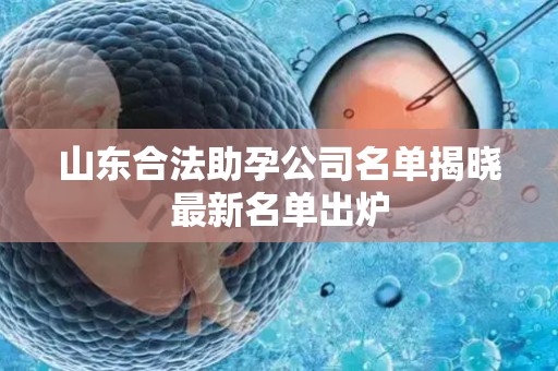 山东合法助孕公司名单揭晓最新名单出炉