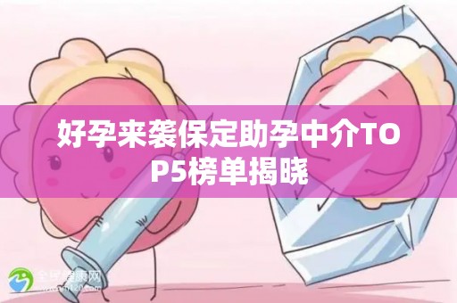 好孕来袭保定助孕中介TOP5榜单揭晓