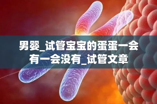 男婴_试管宝宝的蛋蛋一会有一会没有_试管文章