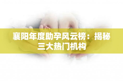 襄阳年度助孕风云榜：揭秘三大热门机构