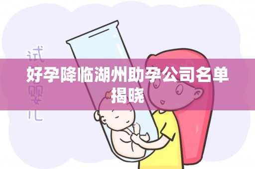 好孕降临湖州助孕公司名单揭晓