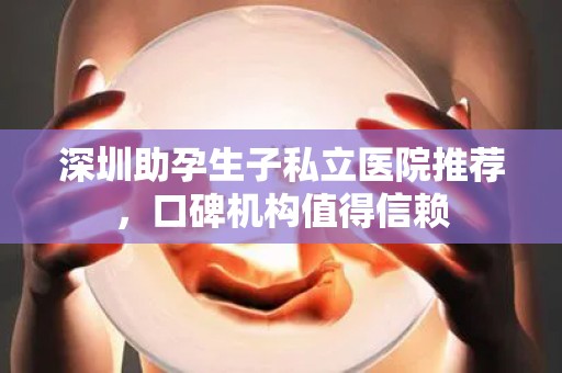 深圳助孕生子私立医院推荐，口碑机构值得信赖