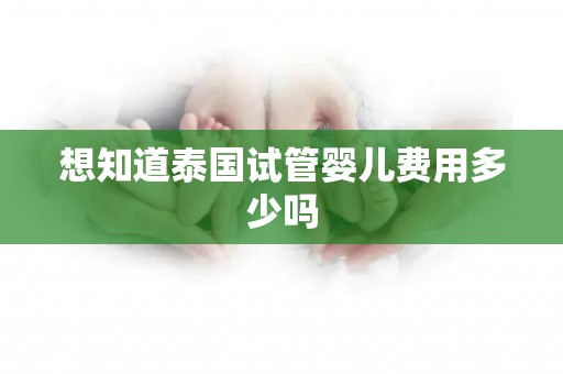 想知道泰国试管婴儿费用多少吗