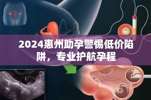 2024惠州助孕警惕低价陷阱，专业护航孕程