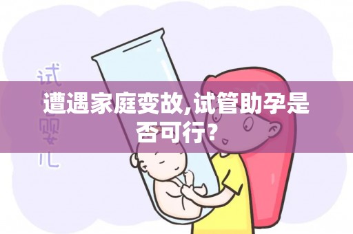 遭遇家庭变故,试管助孕是否可行？