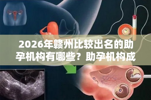 2026年赣州比较出名的助孕机构有哪些？助孕机构成功率排名分享