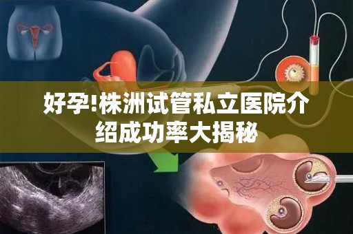 好孕!株洲试管私立医院介绍成功率大揭秘