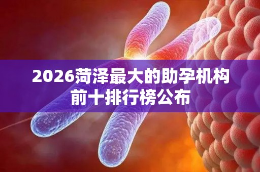 2026菏泽最大的助孕机构前十排行榜公布