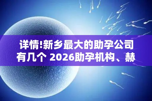 详情!新乡最大的助孕公司有几个 2026助孕机构、赫然在列