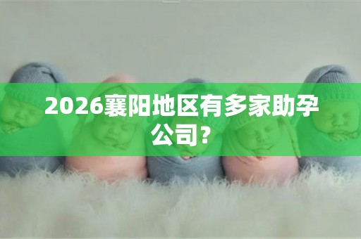 2026襄阳地区有多家助孕公司？