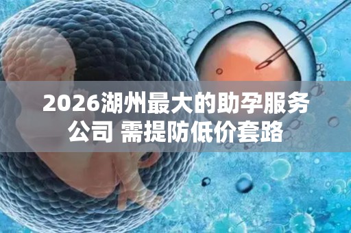 2026湖州最大的助孕服务公司 需提防低价套路