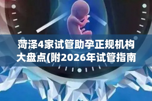 菏泽4家试管助孕正规机构大盘点(附2026年试管指南)