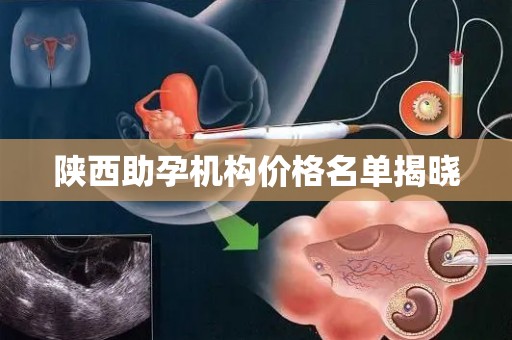 陕西助孕机构价格名单揭晓