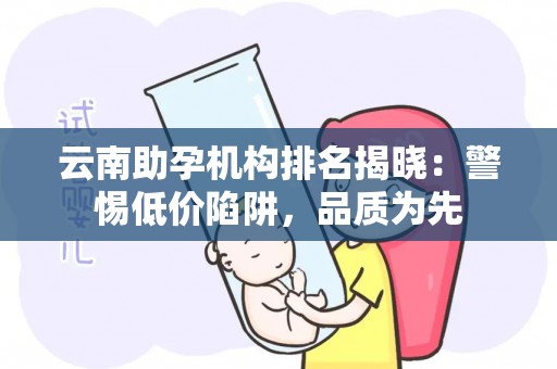 云南助孕机构排名揭晓：警惕低价陷阱，品质为先