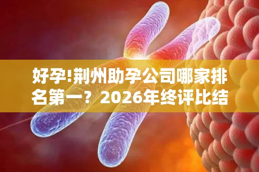 好孕!荆州助孕公司哪家排名第一？2026年终评比结果