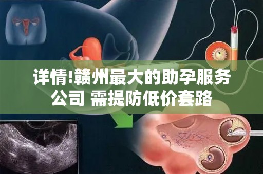 详情!赣州最大的助孕服务公司 需提防低价套路