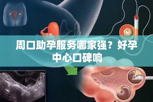 周口助孕服务哪家强？好孕中心口碑响