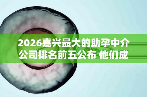 2026嘉兴最大的助孕中介公司排名前五公布 他们成功率真的很高吗？