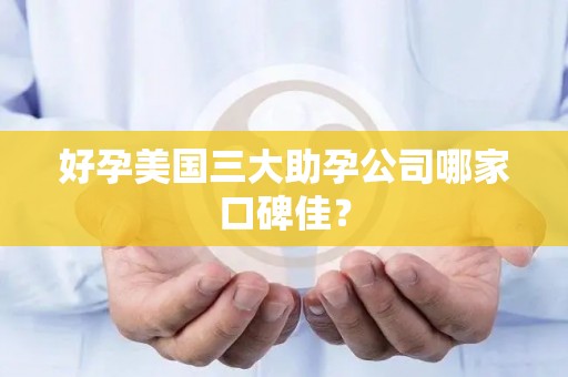 好孕美国三大助孕公司哪家口碑佳？