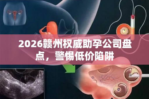 2026赣州权威助孕公司盘点，警惕低价陷阱