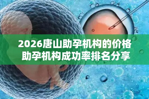 2026唐山助孕机构的价格 助孕机构成功率排名分享