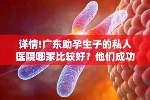 详情!广东助孕生子的私人医院哪家比较好？他们成功率真的很高吗？