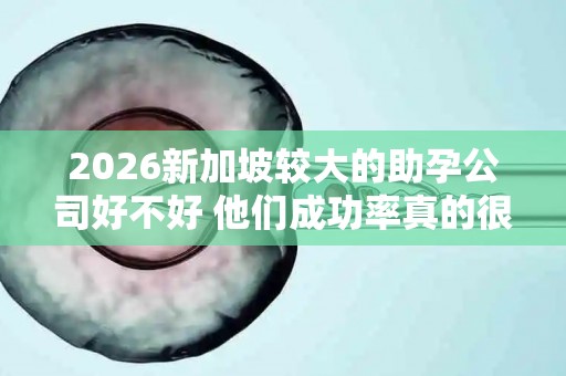2026新加坡较大的助孕公司好不好 他们成功率真的很高吗？