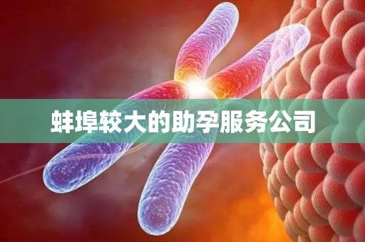 蚌埠较大的助孕服务公司