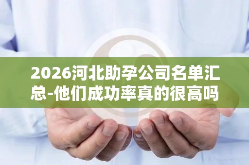 2026河北助孕公司名单汇总-他们成功率真的很高吗？
