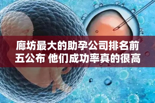 廊坊最大的助孕公司排名前五公布 他们成功率真的很高吗？