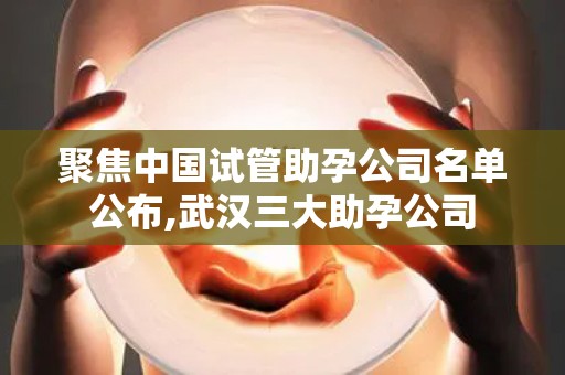 聚焦中国试管助孕公司名单公布,武汉三大助孕公司