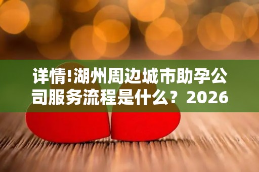 详情!湖州周边城市助孕公司服务流程是什么？2026年终评比结果