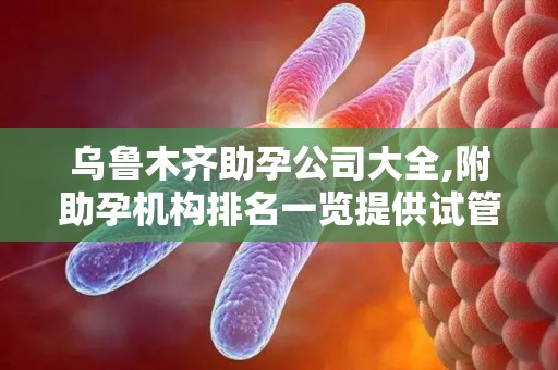 乌鲁木齐助孕公司大全,附助孕机构排名一览提供试管前准备及机构选择攻略